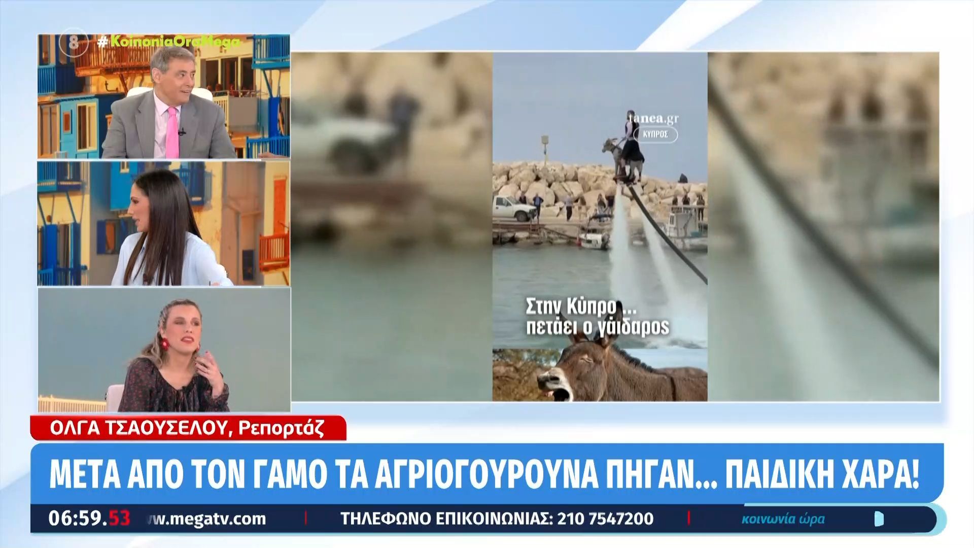 Στην Κύπρο… πετάει ο γάιδαρος!