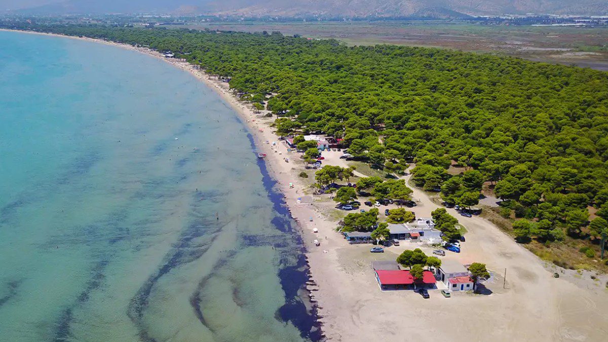 Μονοήμερη απόδραση: Αυτές οι παραλίες δίπλα στην Αθήνα θυμίζουν νησί