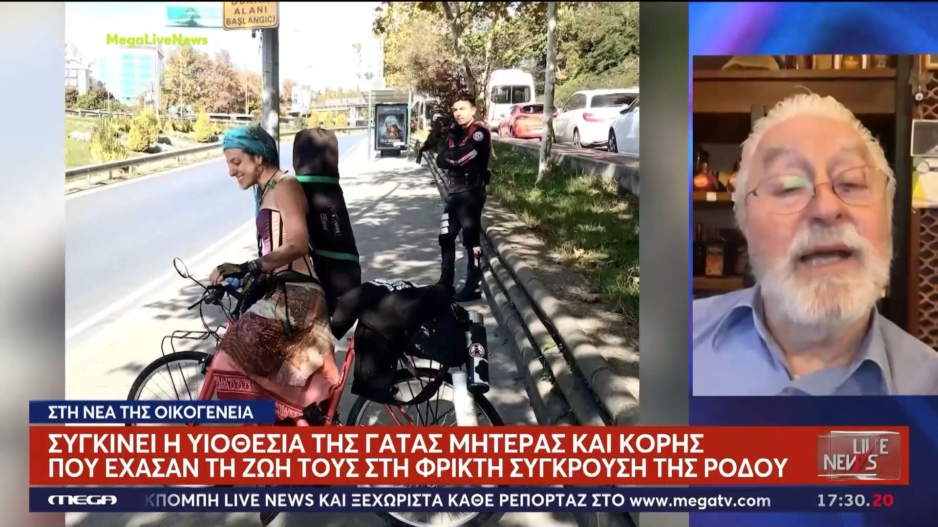 Συγκινεί η υιοθεσία της γάτας μητέρας και κόρης που έχασαν τη ζωή τους στη φρικτή σύγκρουση της Ρόδου