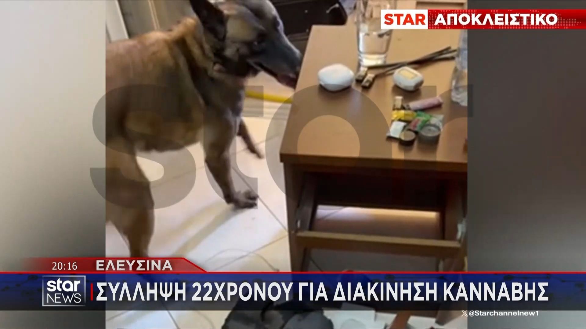 Τελευταία Εξέλιξη: Σύλληψη 22χρονου στην Ελευσίνα για διακίνηση κάνναβης – Βίντεο ντοκουμέντο