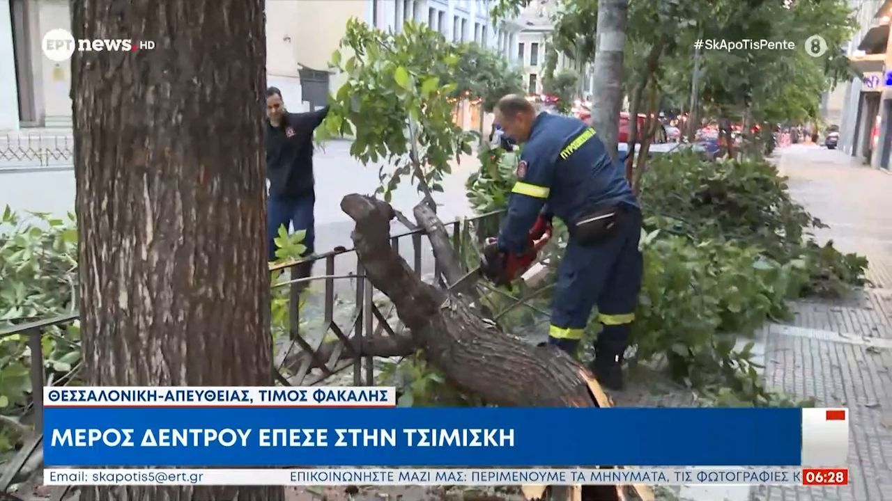 Θεσσαλονίκη: Μέρος δέντρου έπεσε στην Τσιμισκή