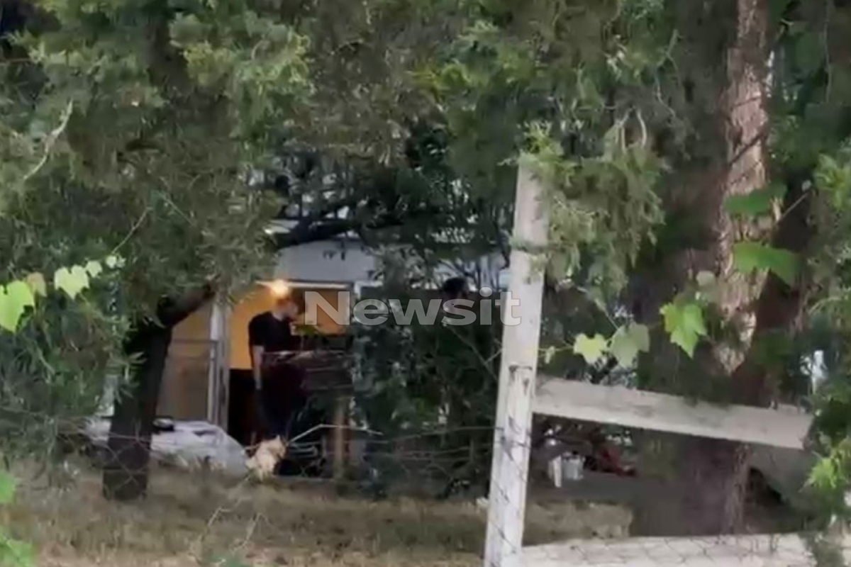 Φονικό στη Θεσσαλονίκη: 30χρονος δολοφόνησε τον πατέρα του με κατσαβίδι – Τον κάρφωσε στο πρόσωπο 6 Θεσσαλονίκη δολοφονία