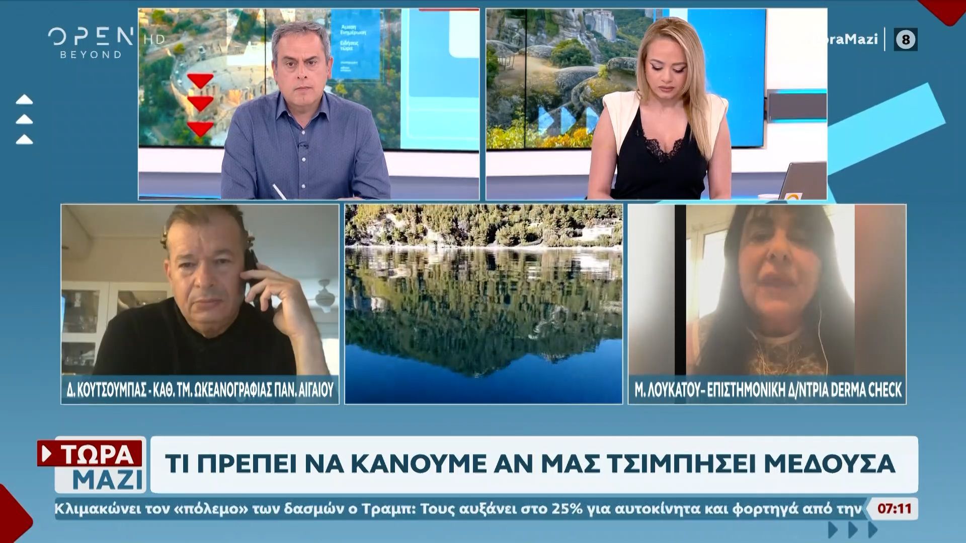 Τι πρέπει να κάνουμε αν μας τσιμπήσει μέδουσα