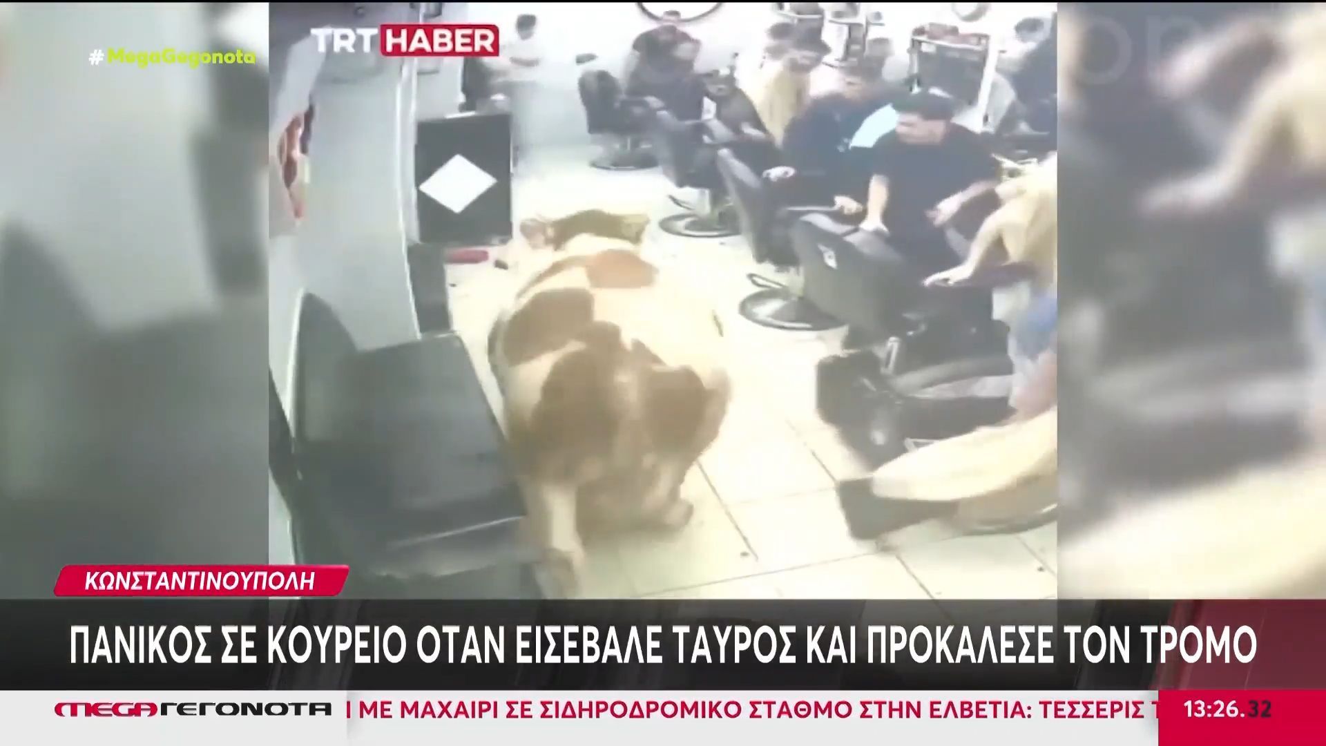 Τουρκία: Πανικός σε κουρείο μετά την εισβολή ταύρου