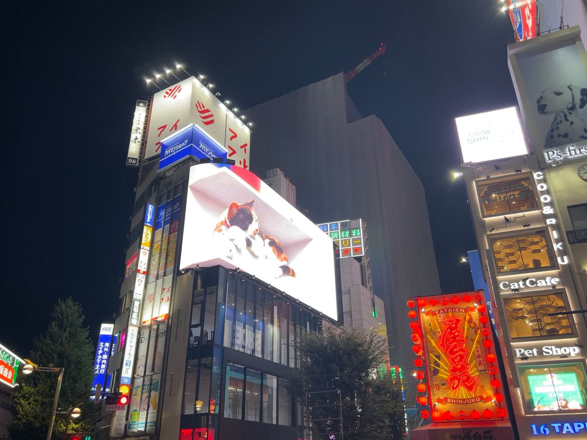 Τρισδιάστατη διαφήμιση στην περιοχή Shinjuku στο Τόκιο