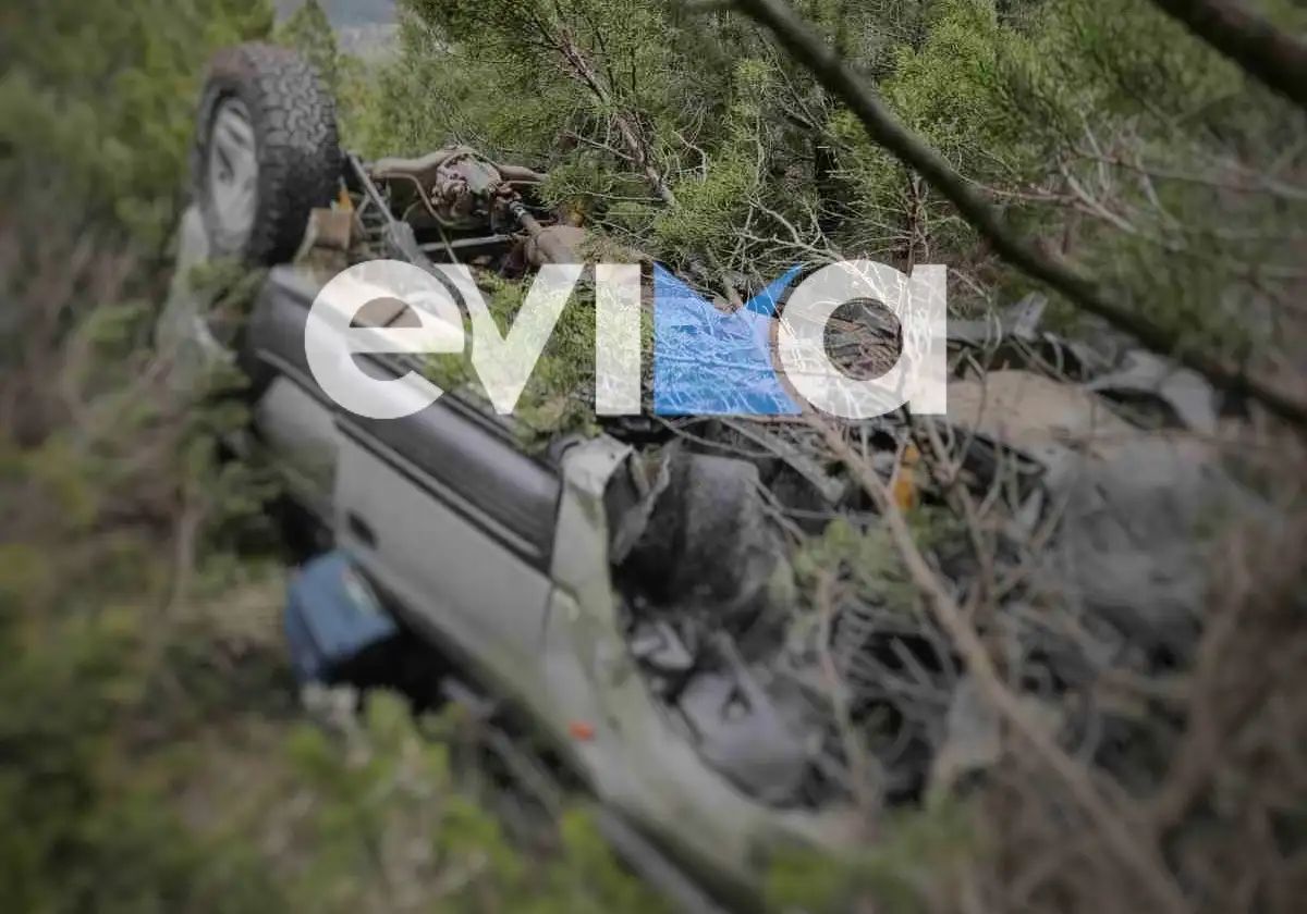 Πολύ σοβαρό τροχαίο στην Εύβοια: Όχημα τούμπαρε και κατέληξε σε γκρεμό - Σοκαριστικές εικόνες