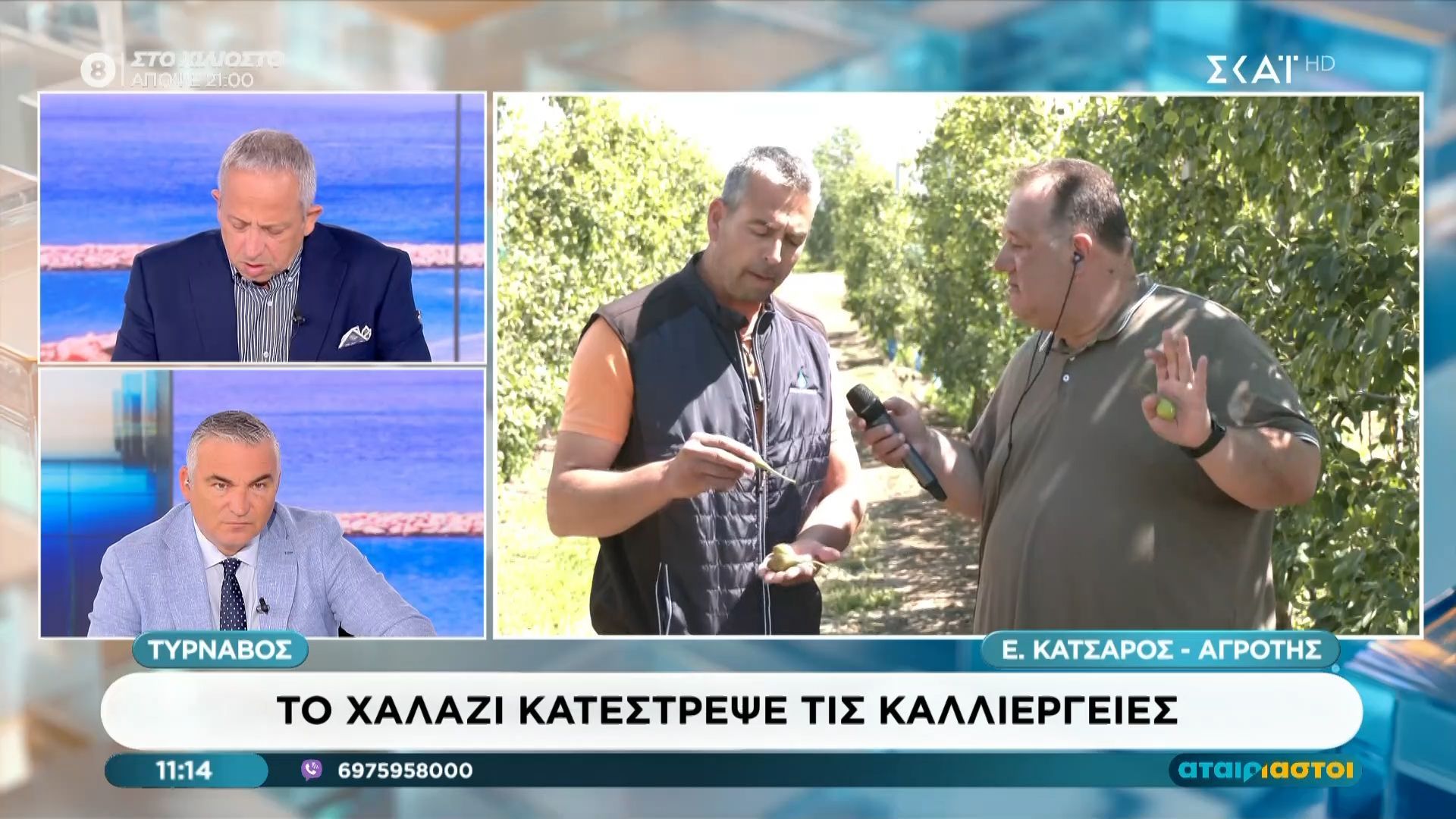 Τύρναβος: Το χαλάζι κατέστρεψε τις καλλιέργειες