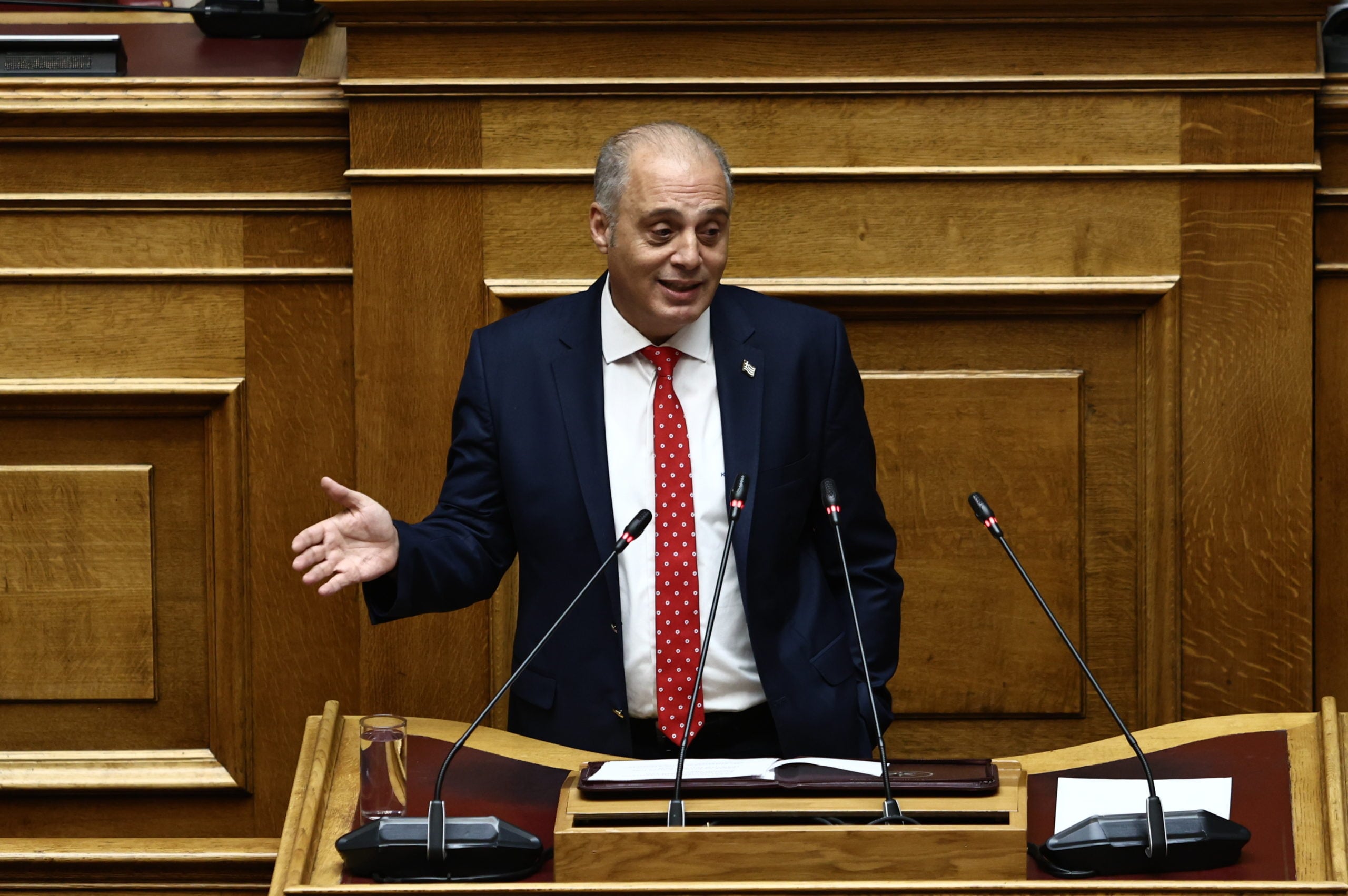 Βελόπουλος: Η συνεδρίαση της ΚΟ της ΝΔ έδειξε ότι «το μαντρί τώρα λέγεται ορνιθοτροφείο»