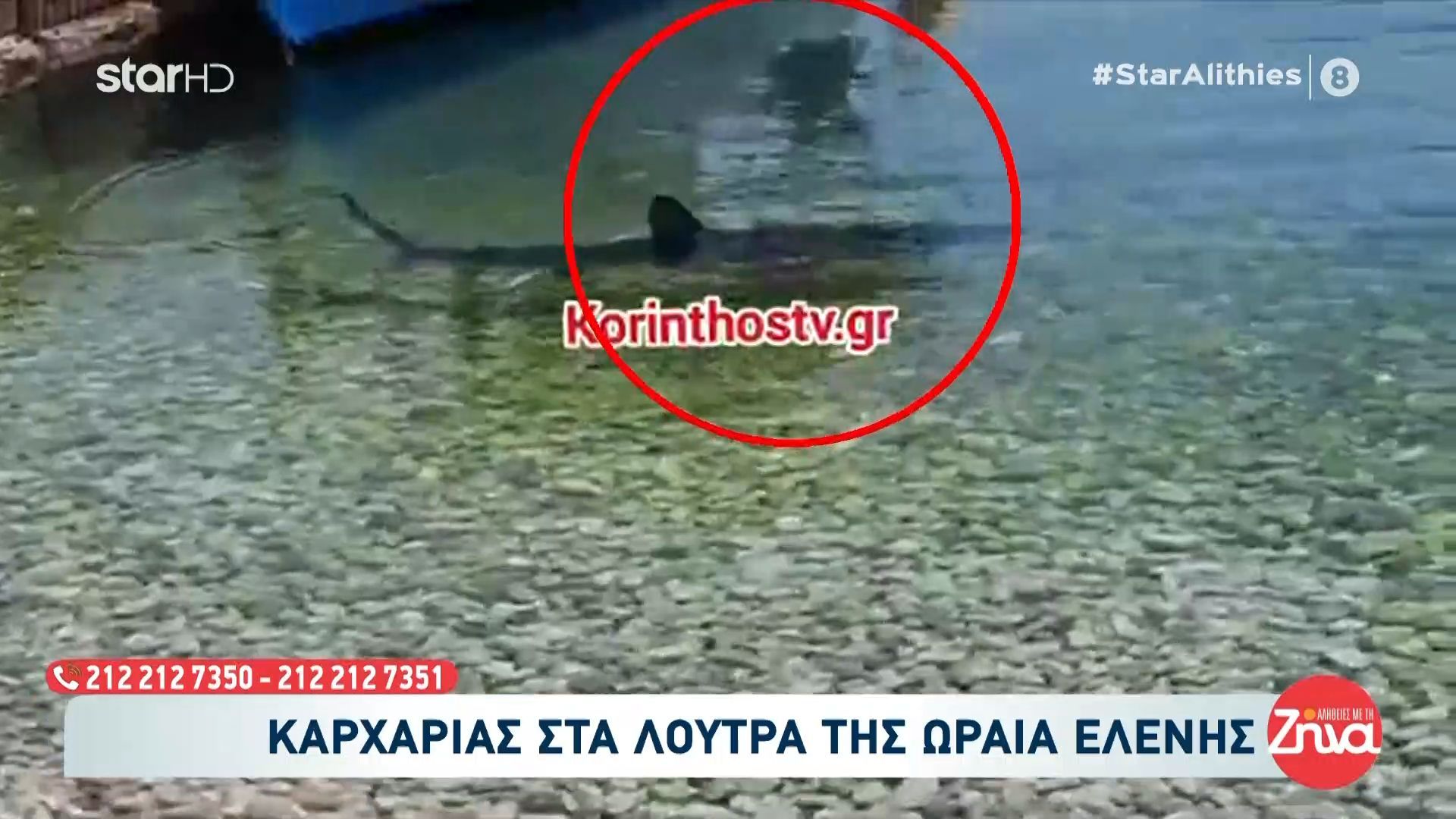 Βίντεο – Ντοκουμέντο με τον καρχαρία στα Λουτρά της Ωραίας Ελένης