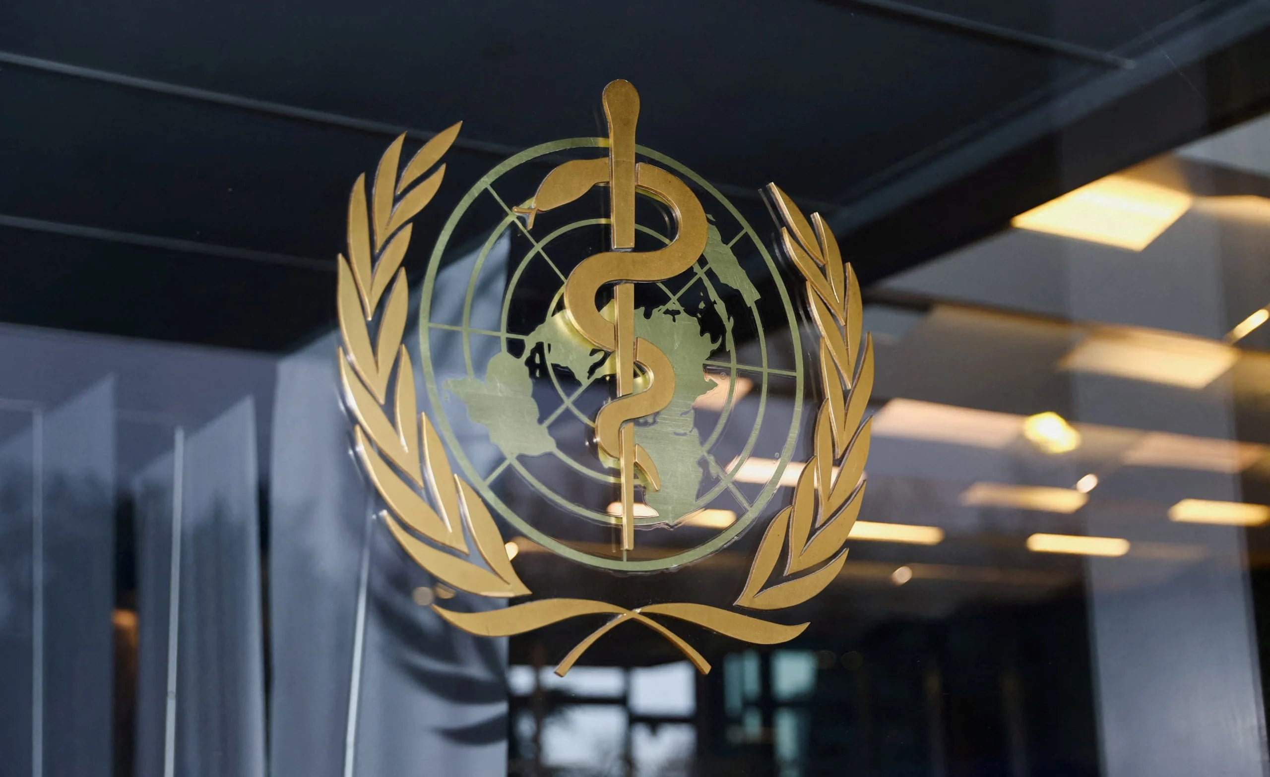 Χανταϊός: Ο Παγκόσμιος Οργανισμός Υγείας δηλώνει πως δεν πρόκειται για «επιδημία» ή «πανδημία»