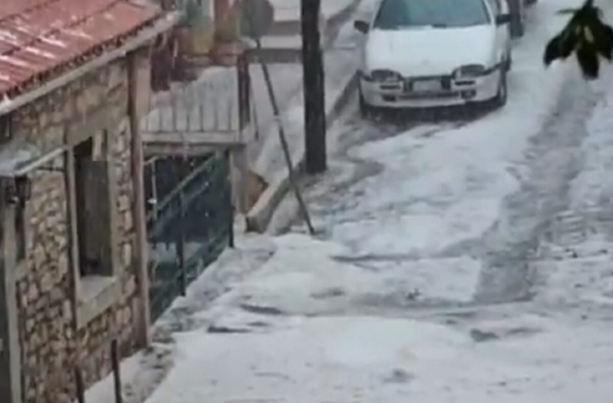 Home 59 Αρκαδία: Ισχυρή χαλαζόπτωση «σκέπασε» στα λευκά τα Τρόπαια Γορτυνίας – Καταστροφές σε καλλιέργειες