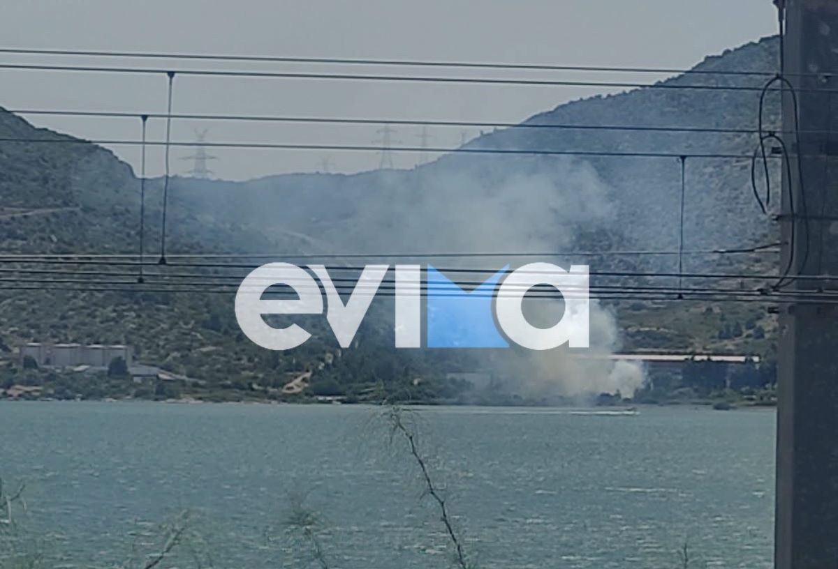Πυρκαγιά στην Εύβοια, πλησίον της μεγάλης γέφυρας Χαλκίδας