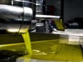 Μελέτη του Yale: Το ελαιόλαδο διαμορφώνει ένα πιο υγιές εντερικό μικροβίωμα