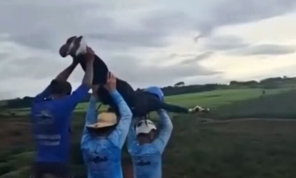 Βραζιλία: 21χρονη έχασε τη ζωή της σε άλμα bungee jumping – Ξέχασαν να δέσουν το σχοινί ασφαλείας