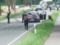 Γερμανία: Διαμάχη για την επιμέλεια βρέφους πίσω από το μακελειό στο Στάντε της Κάτω Σαξονίας με έξι νεκρούς