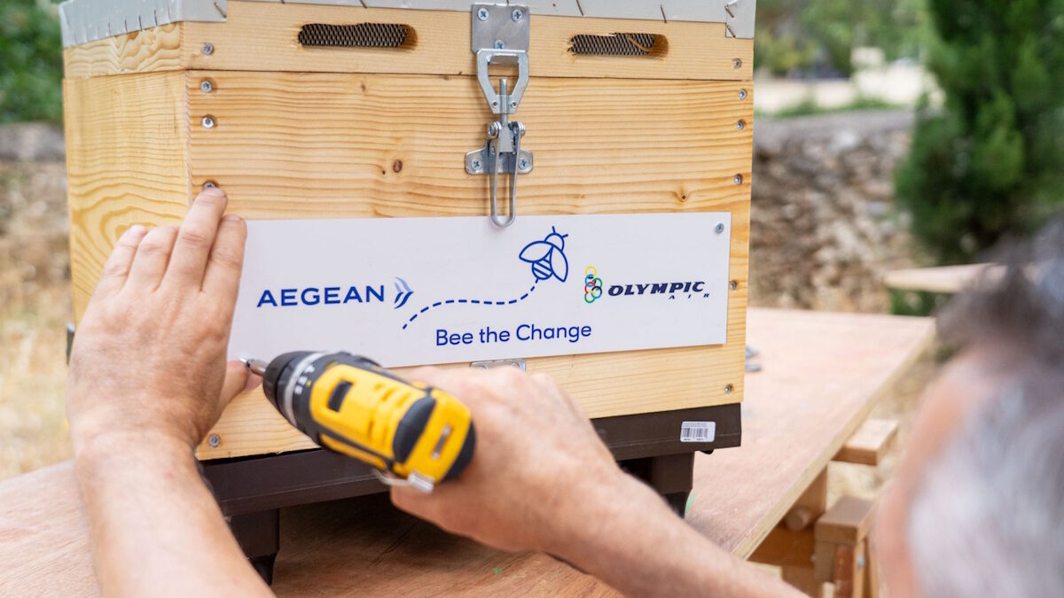 Bee the Change: Η ομάδα AEGEAN τίμησε την Παγκόσμια Ημέρα Περιβάλλοντος, αναλαμβάνοντας πρωτοβουλία για τη διάσωση των μελισσών 7 Bee the Change: Η ομάδα AEGEAN τίμησε την Παγκόσμια Ημέρα Περιβάλλοντος, αναλαμβάνοντας πρωτοβουλία για τη διάσωση των μελισσών