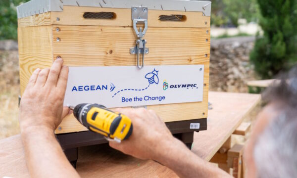 Bee the Change: Η ομάδα AEGEAN τίμησε την Παγκόσμια Ημέρα Περιβάλλοντος, αναλαμβάνοντας πρωτοβουλία για τη διάσωση των μελισσών