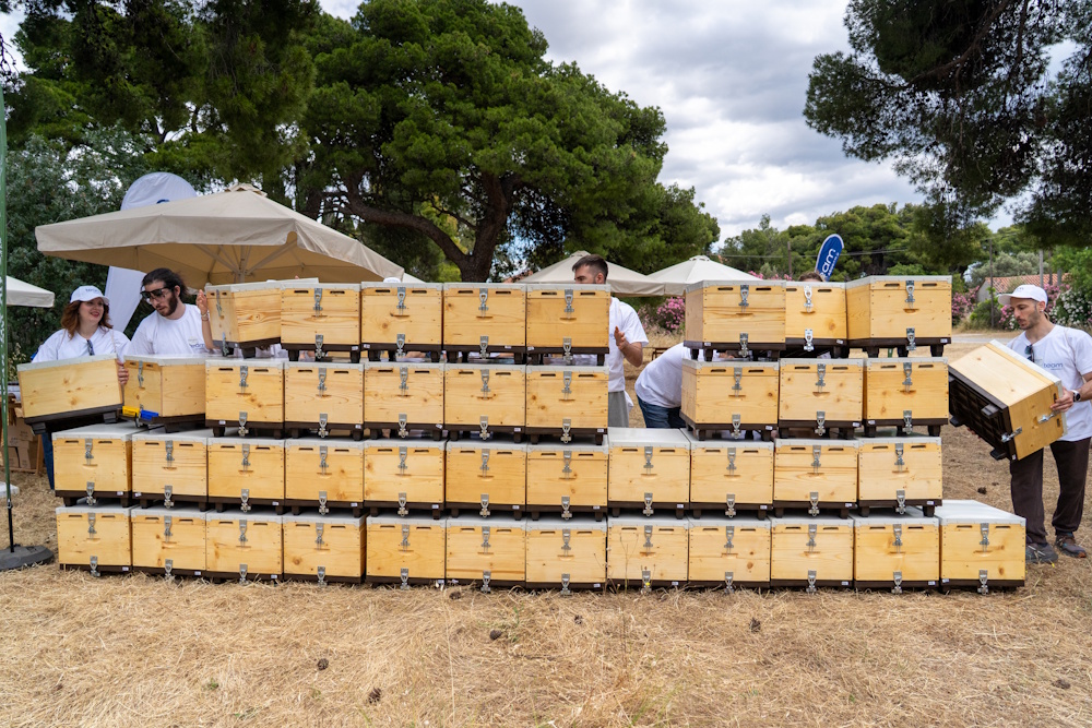 Bee the Change: Η ομάδα AEGEAN τίμησε την Παγκόσμια Ημέρα Περιβάλλοντος, αναλαμβάνοντας πρωτοβουλία για τη διάσωση των μελισσών 13 Bee the Change: Η ομάδα AEGEAN τίμησε την Παγκόσμια Ημέρα Περιβάλλοντος, αναλαμβάνοντας πρωτοβουλία για τη διάσωση των μελισσών