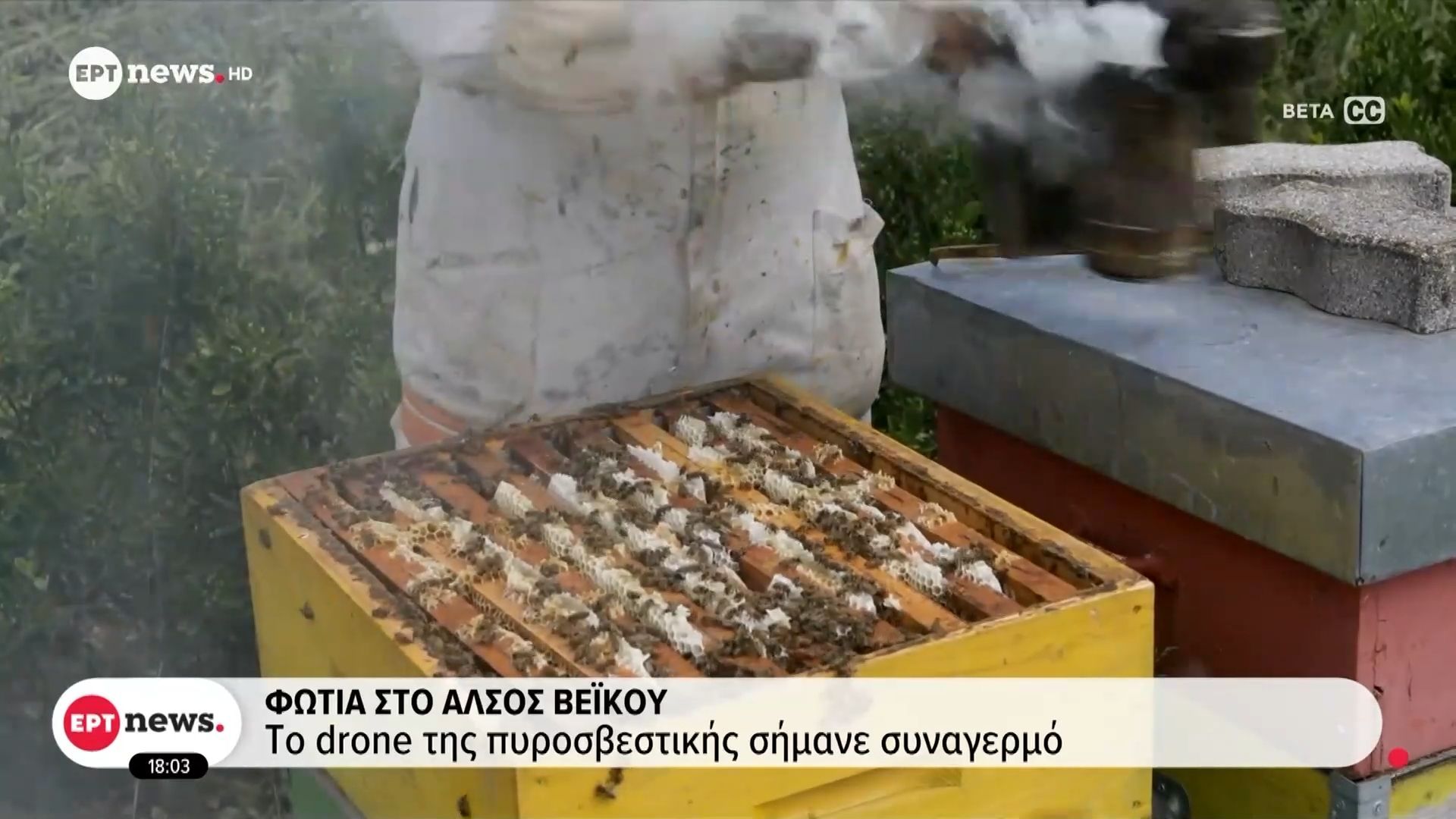 Άλσος Βεϊκού: Aπό το κάπνισα μελισσιών ξεκίνησε η πυρκαγιά