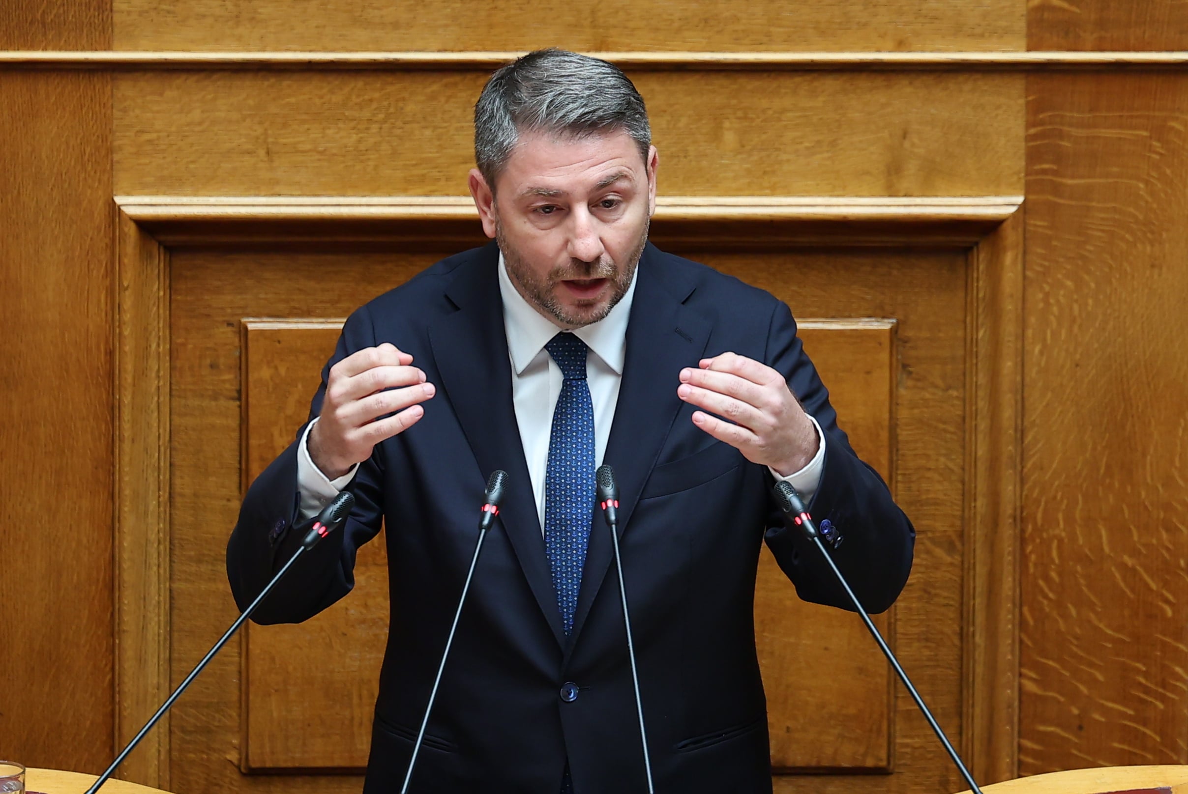 Βουλή – Ανδρουλάκης: Η συνταγματική αναθεώρηση χρειάζεται υπευθυνότητα και όχι επιφανειακούς τακτικισμούς και επικοινωνιακά κόλπα