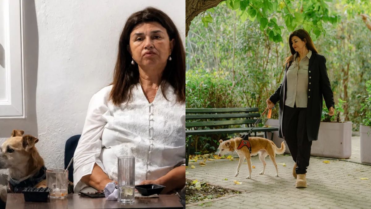 Άννα Κουρή: Η συγκλονιστική αφήγηση πίσω από το «Τερεζουλίνι» των «Μεν και Δεν»