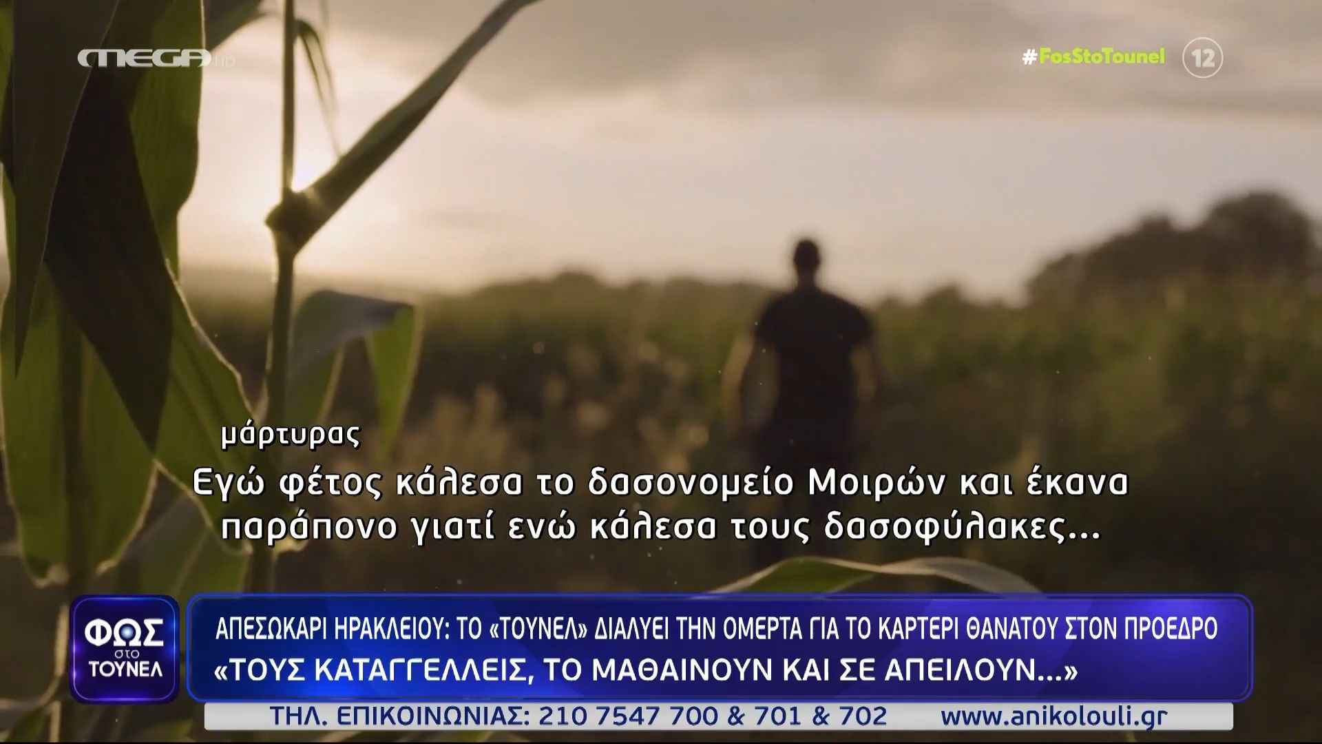 Απεσωκάρι Ηρακλείου: Μαρτυρία κατοίκου στο «Τούνελ» – «Κάνεις καταγγελία, ενημερώνουν τους κτηνοτρόφους και αυτοί σε απειλούν»