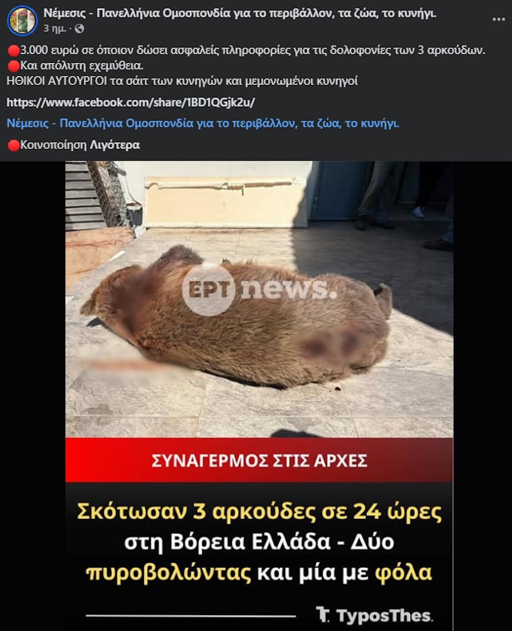 Δυτική Μακεδονία: 3.000 ευρώ για πληροφορίες για τον θάνατο των τριών αρκούδων 7 Αρκούδες