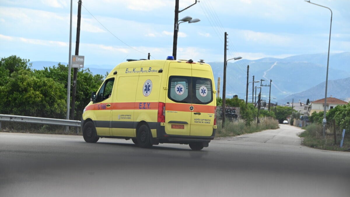 Εύβοια: Νεκρή 21χρονη μετά από τσίμπημα σφήκας 1 Εύβοια: Νεκρή 21χρονη μετά από τσίμπημα σφήκας