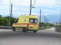 Τραγωδία στην Εύβοια: Νεκρή μια 21χρονη – Είχε τσιμπηθεί από σφήκα