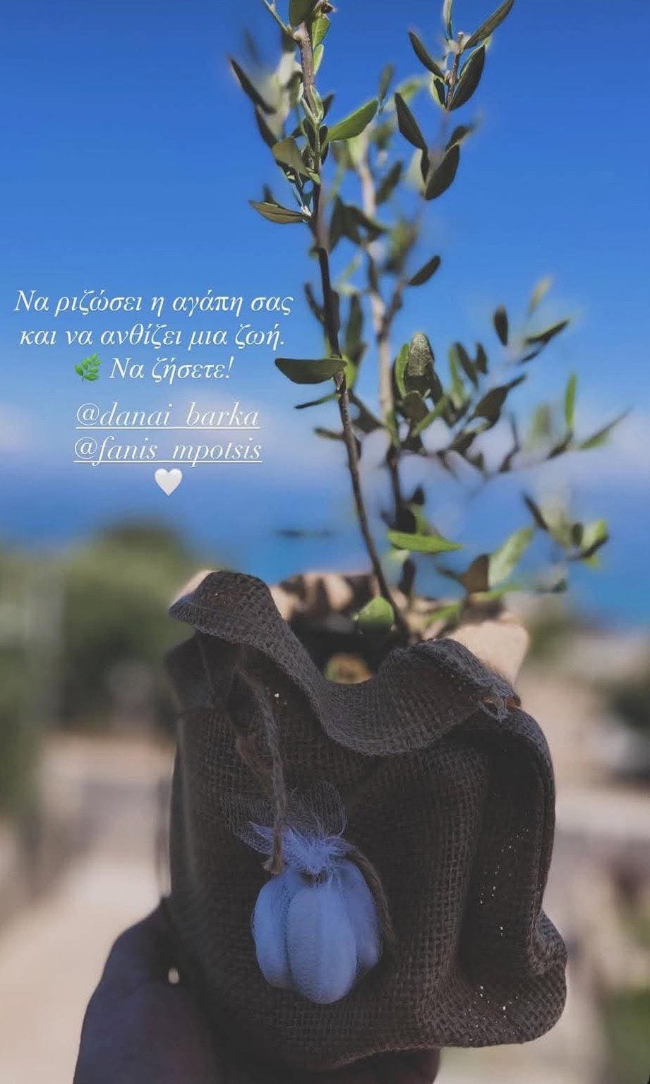 Δανάη Μπάρκα, Φάνης Μπότσης
