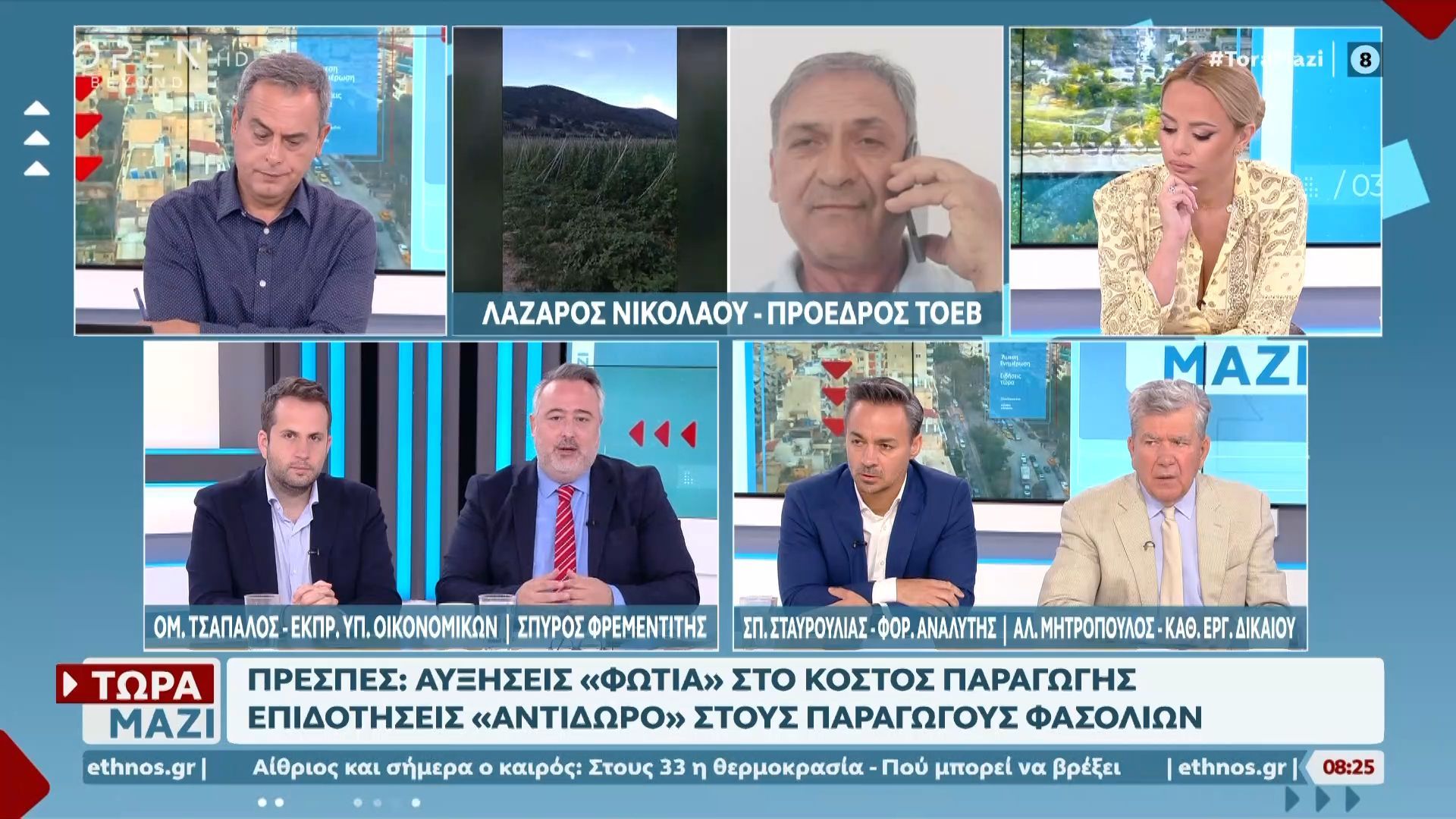Πρέσπες: Αυξήσεις “φωτιά” στο κόστος παραγωγής – Επιδοτήσεις “αντίδωρο” στους παραγωγούς φασολιών
