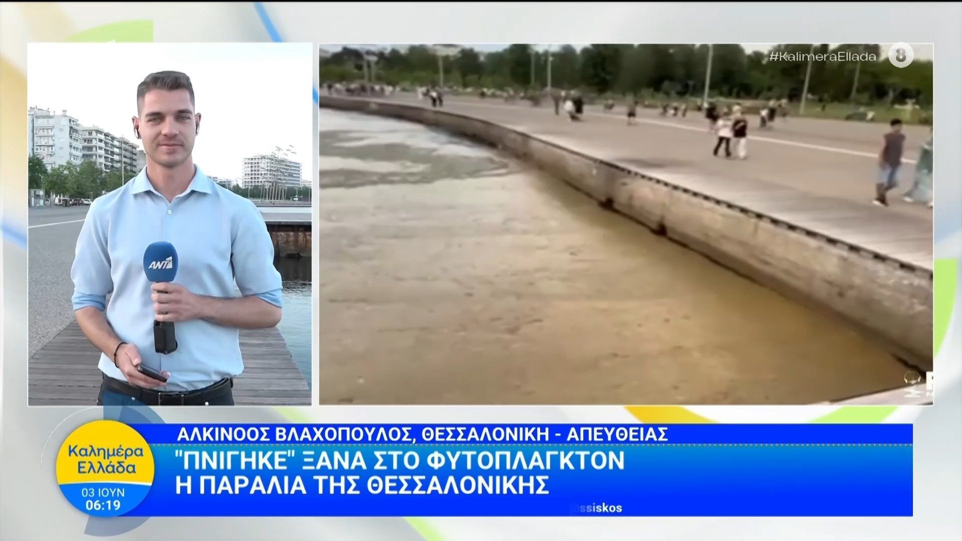 Θεσσαλονίκη: “Πνίγικε” ξανά στο φυτοπλακτόν η παραλία – Καλημέρα Ελλάδα – 03/06/2026