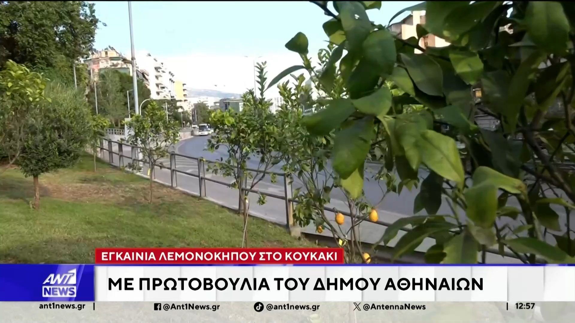 Εγκαίνια λεμονόκηπου στο Κουκάκι