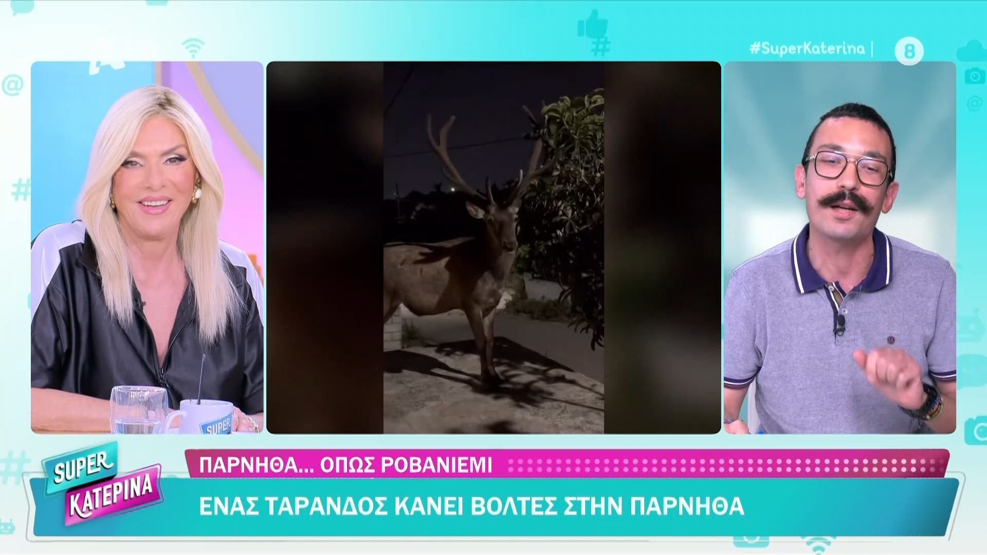 Ένας τάρανδος κάνει βόλτες στην Πάρνηθα