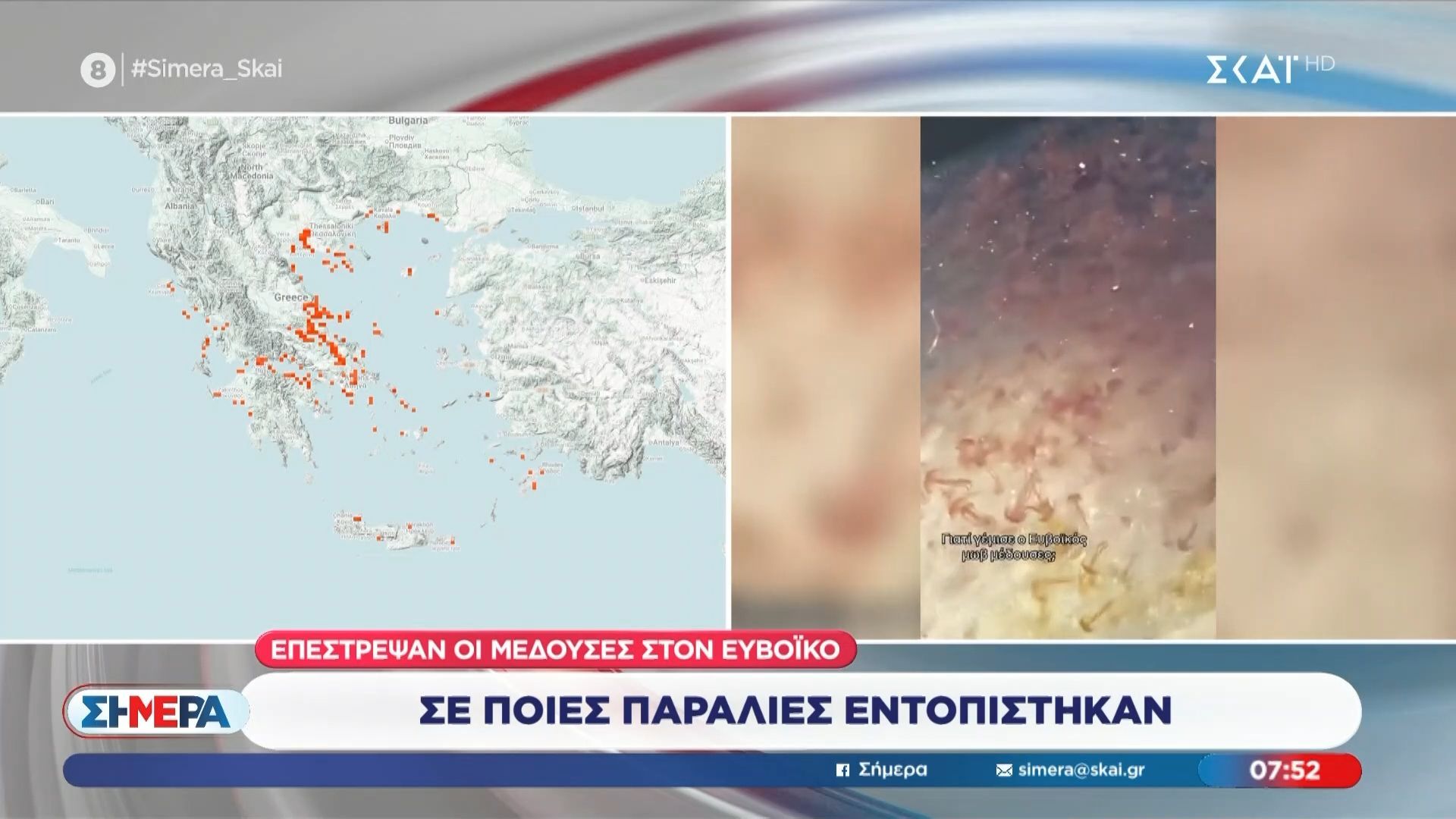 Επέστρεψαν οι μέδουσες στον Ευβοϊκό