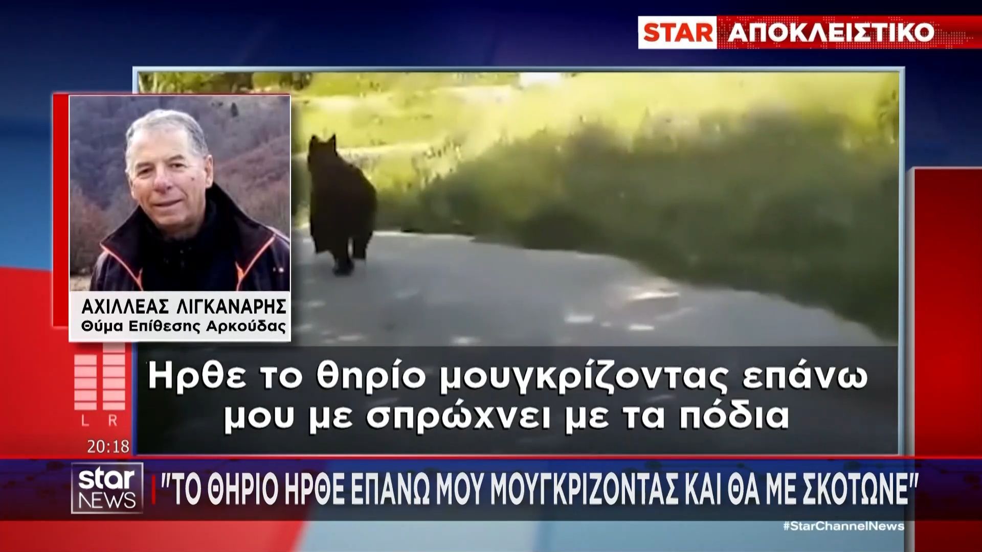 Επιθέσεις αρκούδων σε Γρεβενά και Καστοριά – Τα θύματα μιλούν αποκλειστικά στο STAR
