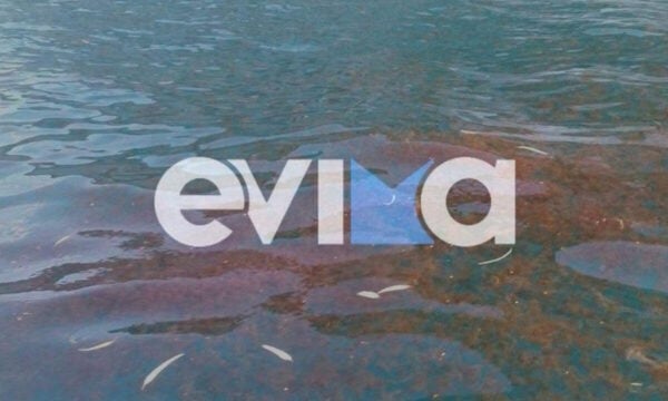 Εύβοια: Η θάλασσα άλλαξε χρώμα από τις μέδουσες