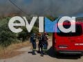 Μεσοχώρια: Ισχυρές πυροσβεστικές δυνάμεις και συνδρομή από εναέρια μέσα στη φωτιά