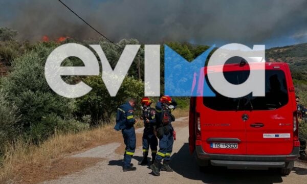 Μεσοχώρια: Ισχυρές πυροσβεστικές δυνάμεις και συνδρομή από εναέρια μέσα στη φωτιά
