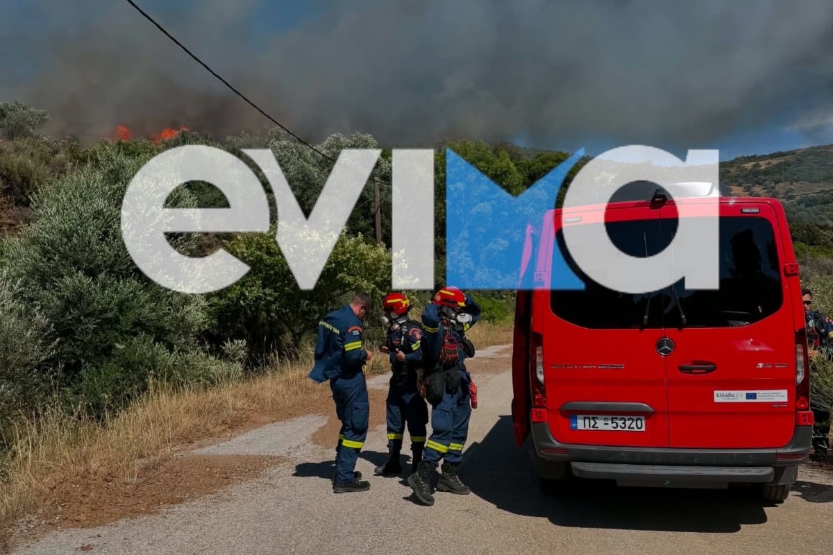 Μεσοχώρια: Ισχυρές πυροσβεστικές δυνάμεις και συνδρομή από εναέρια μέσα στη φωτιά