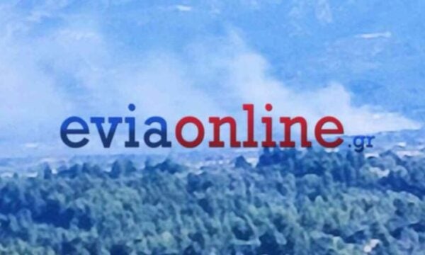 Φωτιά στην Εύβοια: Εναέρια μέσα επιχειρούν στην περιοχή Λούτσα