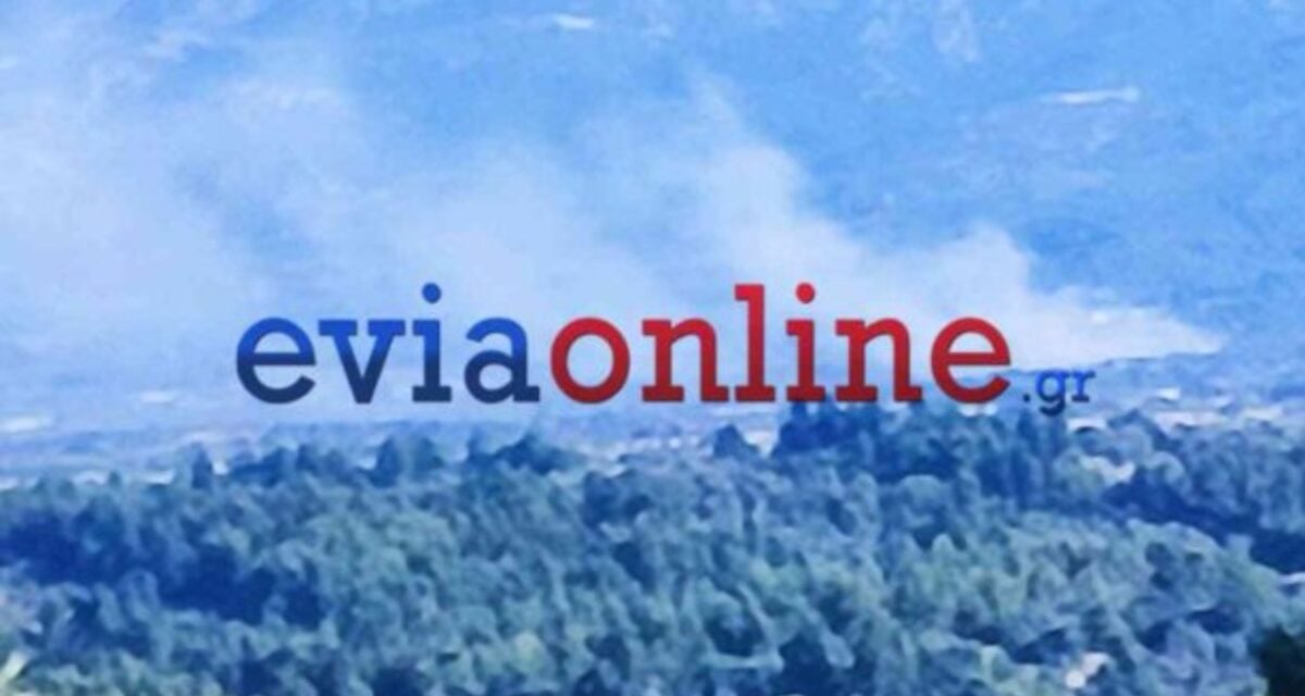 Φωτιά στην Εύβοια: Εναέρια μέσα επιχειρούν στην περιοχή Λούτσα