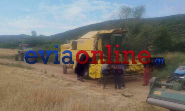 Φωτιά στην Εύβοια: Συνελήφθη 64χρονος για πυρκαγιά από αμέλεια
