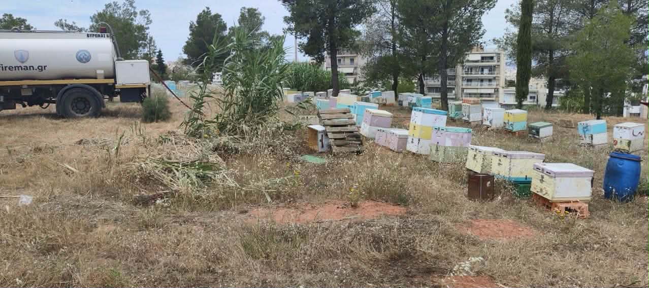 Φιλοθέη: Βίντεο-ντοκουμέντο καταγράφει μελισσοκόμο να φεύγει όταν ξέσπασε η φωτιά – Αναγνωρίστηκε και αναζητείται