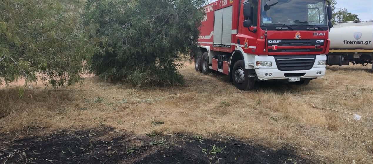 Φιλοθέη: Βίντεο-ντοκουμέντο καταγράφει μελισσοκόμο να φεύγει όταν ξέσπασε η φωτιά – Αναγνωρίστηκε και αναζητείται