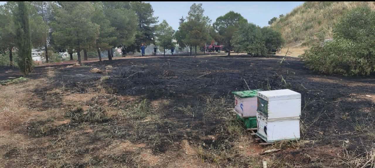 Φιλοθέη: Βίντεο-ντοκουμέντο καταγράφει μελισσοκόμο να φεύγει όταν ξέσπασε η φωτιά – Αναγνωρίστηκε και αναζητείται