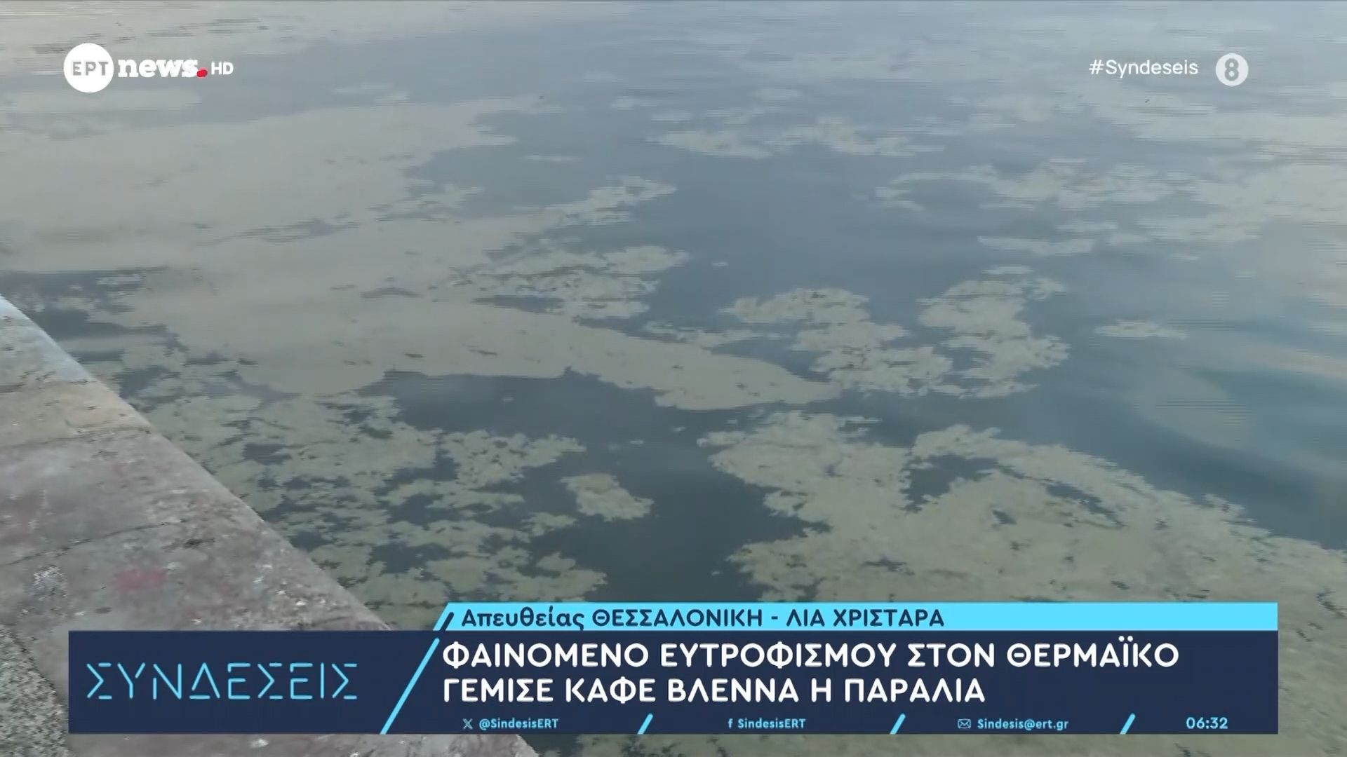 Φαινόμενο ευτροφισμού στον Θερμαϊκό: Γέμισε καφέ βλέννα η παραλία