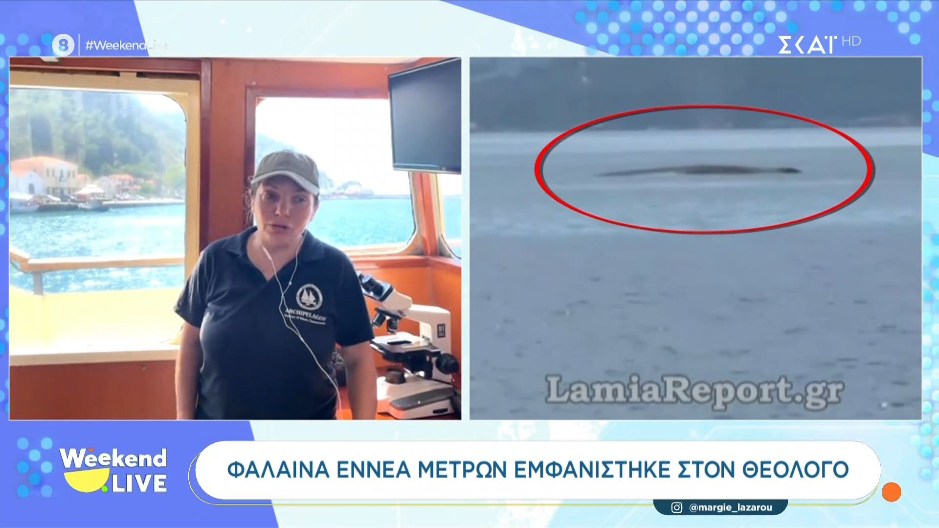 Φάλαινα εννέα μέτρων εμφανίστηκε στο Θεολόγο