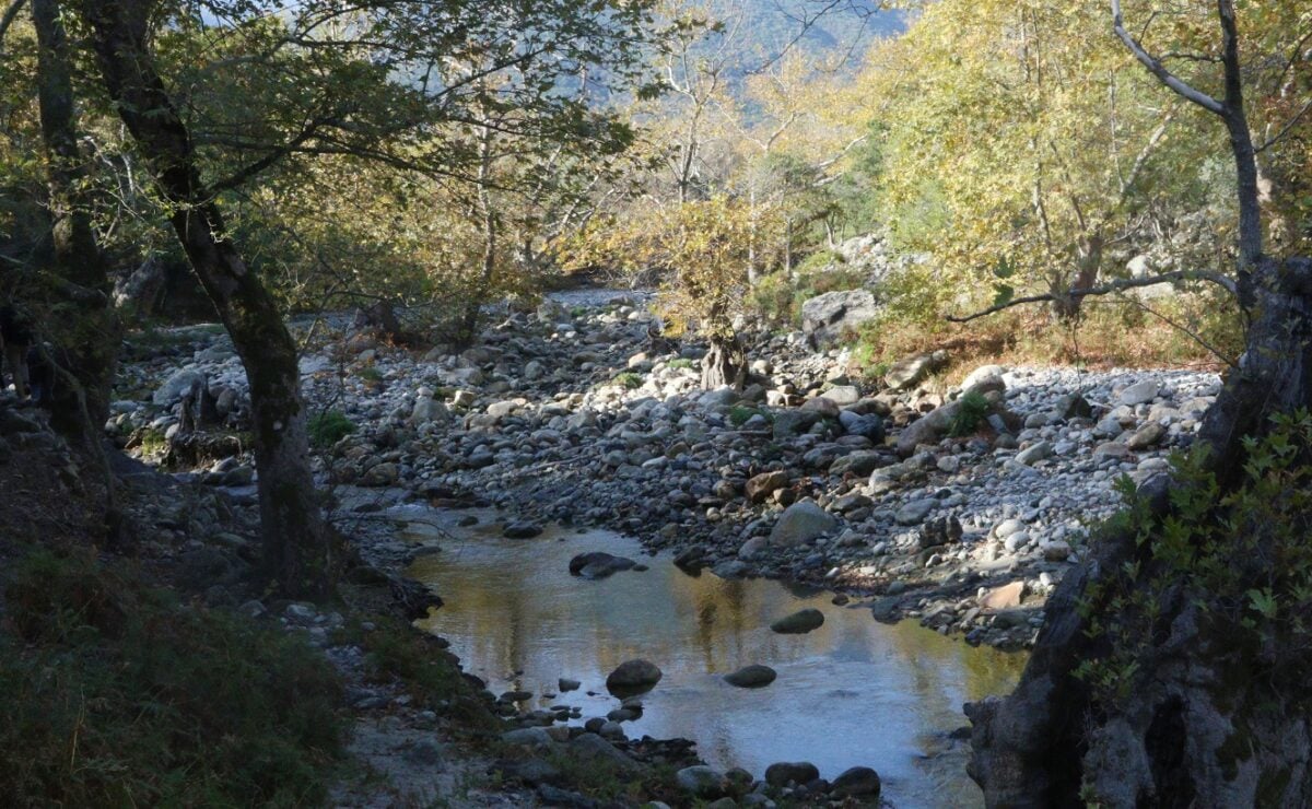 Νεκρός 60χρονος άνδρας στο φαράγγι της Αγίας Ειρήνης στα Χανιά
