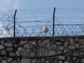 Θεσσαλονίκη: Στη φυλακή 57χρονος που οδηγούσε μεθυσμένος, εγκατέλειψε τροχαίο και κρύφτηκε σε ρεματιά
